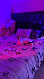 JoselinFlower_ my pets (✿◡‿◡) зображення 2