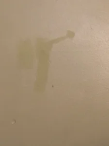 TiffaneyLove Little Cocks Pic