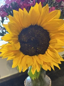 Samantha_Greene Thank you for my beautiful flowers Golf! 圖片 3