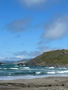 VaVaVoom_ Pacifica CA টি ছবি