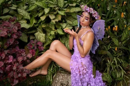 Pixie Dreams 🦋