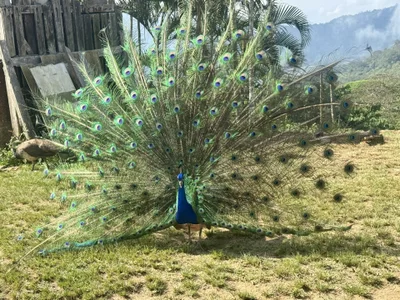 Cleo_luna How was my birthday slika 4