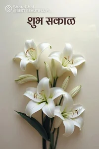 mumbai_dick Public টি ছবি