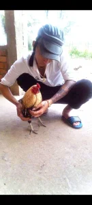 Binhhony Nà ní Immagine  3