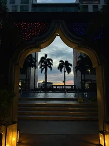 Butterflygi Public 사진