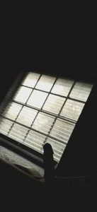 RecuerdameGansito Public Pic 2