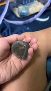 Fine-sandの米果專屬の 4枚の写真