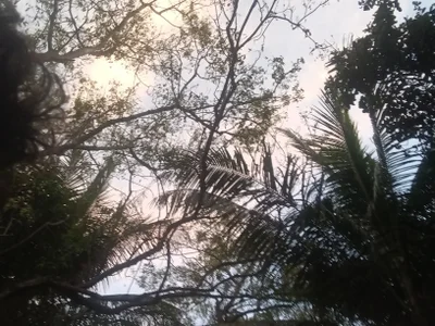 shanu2002 Public Hình 2