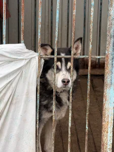 chloemilka kullanıcısının SHELTER albümü -  2 fotoğraf