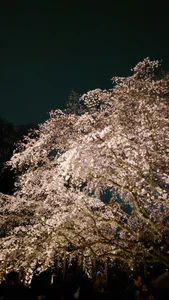 Meron_Boy 趣味hobbies Pic 6