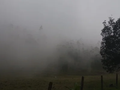 Tom_cooper_ An excellent trip Pic 2