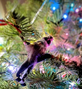 Christmas de faithfulchic  6 photos