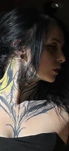 AcidPie Public Bilde 2