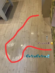 minami1129 ホテルの床ビショビショにしたの誰〜😳？？ Foto 2