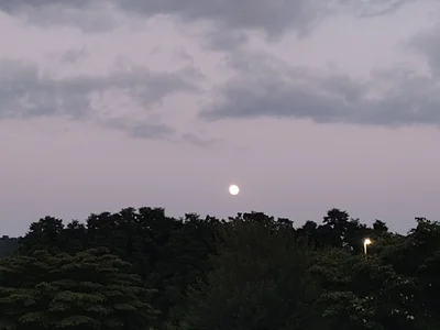 chaseg98 Public Immagine  4