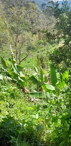 GabyThoms nature and peace Pic 2