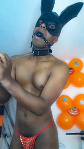 mrjhon26のSexy rabbitの 9枚の写真