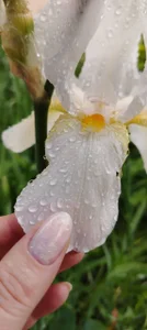 NancySanders Public Billede 4