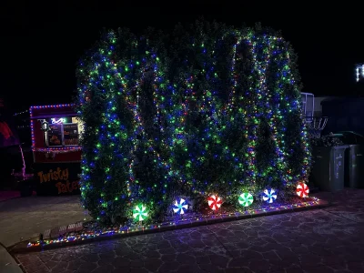 B_S0051 Public 사진