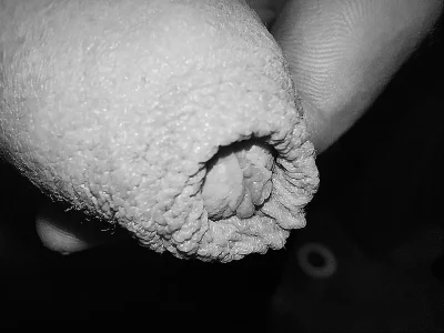 Luxurito If you like please give a rating รูป  2