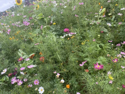 Zdjęcia xiao-mo520 Public:  3