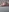Marii_Ann's photo