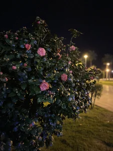 AnnJey MY HOBBY slika 7