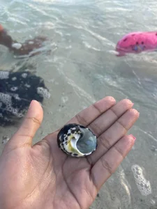 Zdjęcia Little_Lisy a bit of my vacation w..w:  6