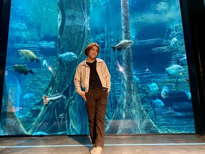 imgerver immersing myself in the calm and beauty of the aquarium Foto