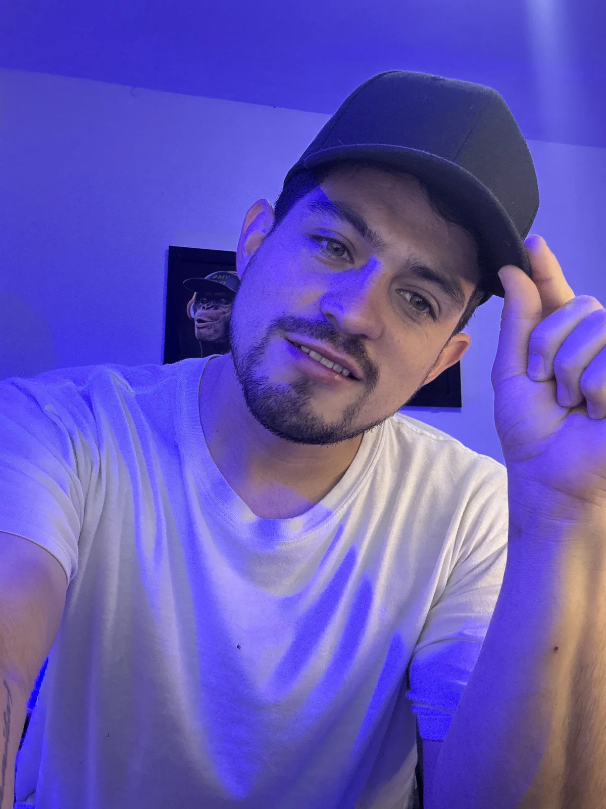 williamsmiiths16 Populært bilde 494