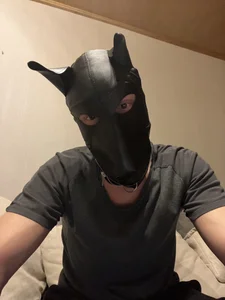 PlayDog123 Public صورة واحدة|PlayDog123 Public صورتان|PlayDog123 Public  2 صور|PlayDog123 Public  2 صورة