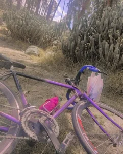 helen_bunnnyx My bike Pic 2