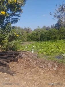 t_g1234tabangasex6: Public ( 7 фото)