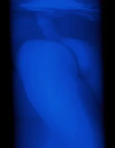 VARIAS de AdventureRiders  2 Imagens