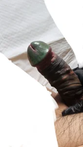 francis-330 Public Pic