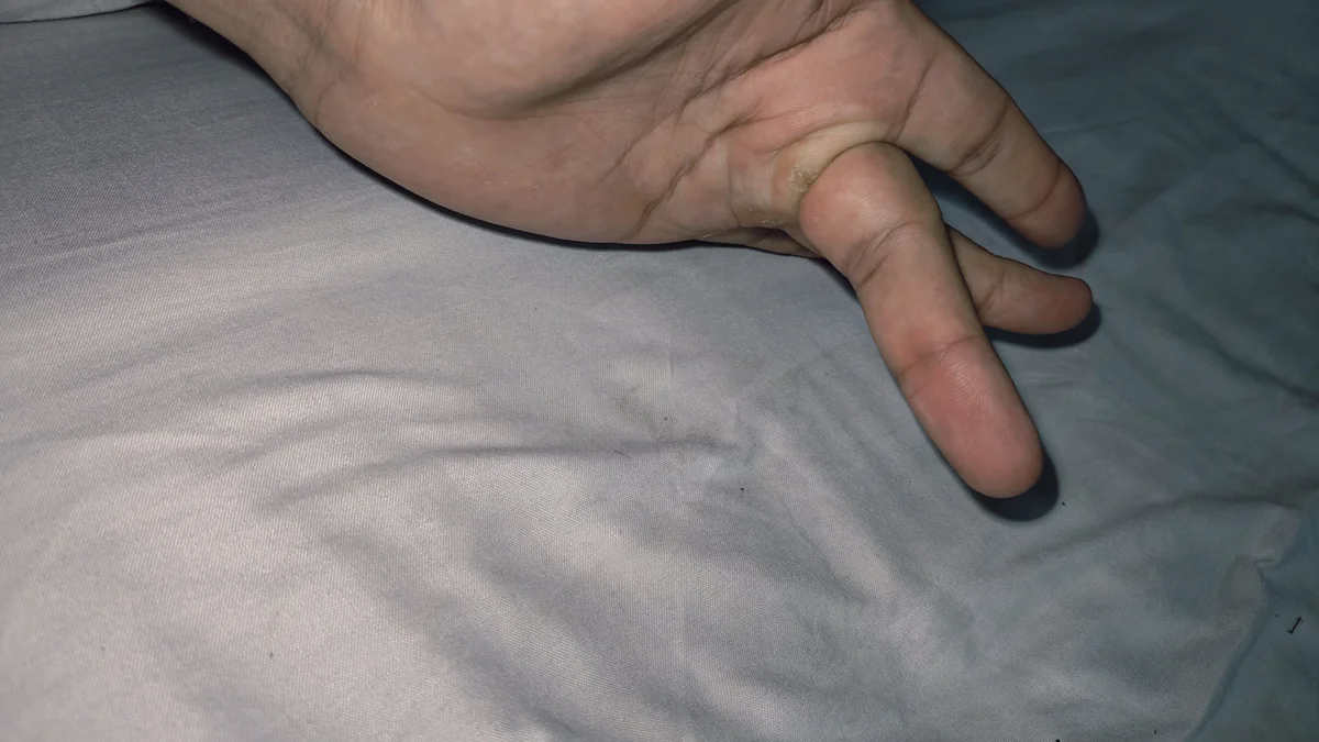 Atefnabil1 Gambar Trending 632