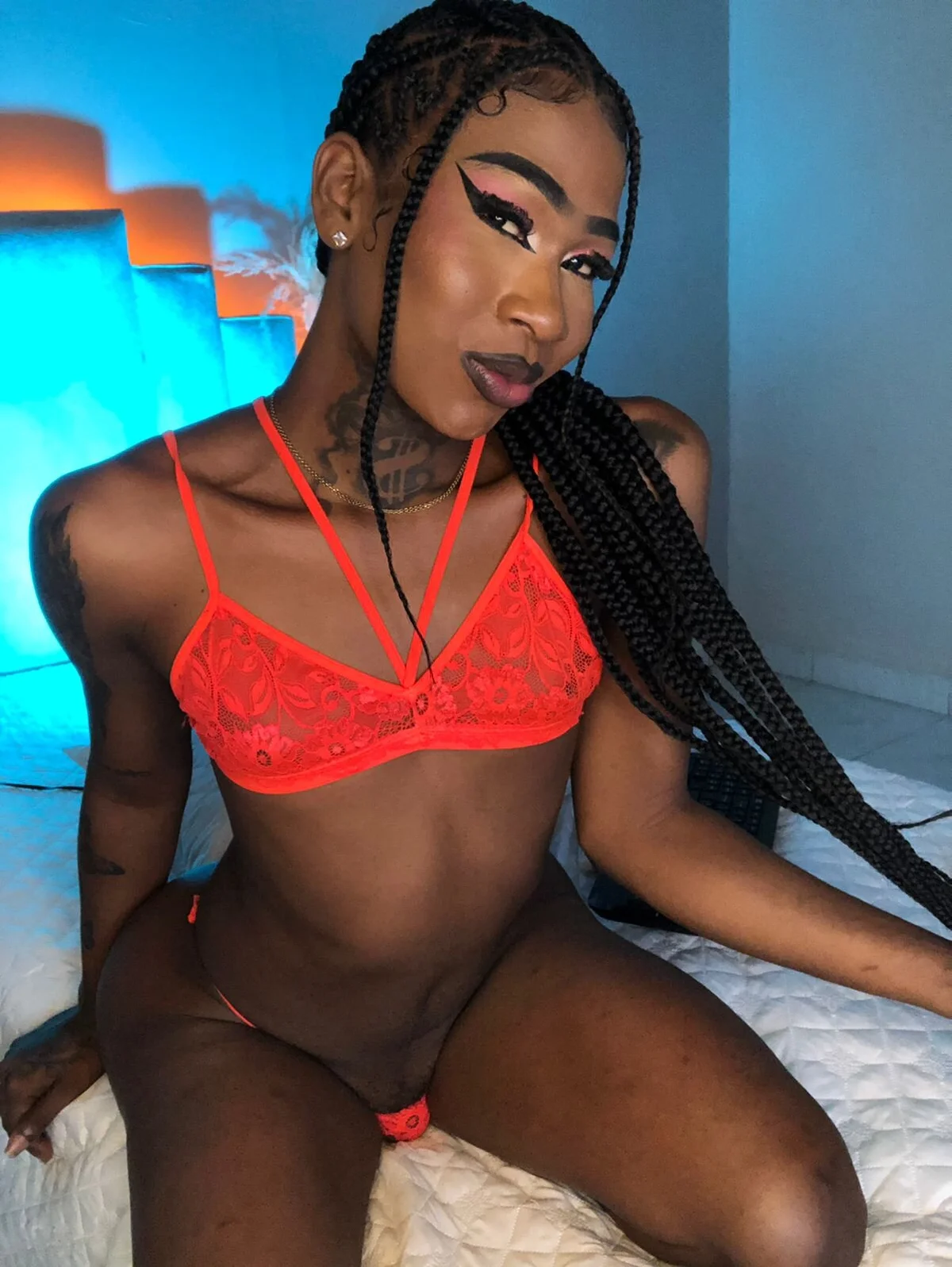 Sheinny_brown1  3016. kiemelt képe