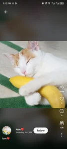 Tanishacutie Public Pic