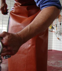 Bandit6000CH Public Pic