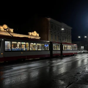 SonjaMonje walk Immagine  5