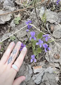 AnnAbbey How do you like my outfit?🥰 Foto 4