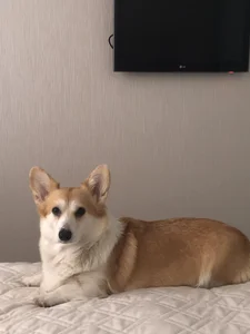 Nicole_Space My dog 🐶 Foto 4