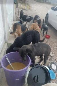 Babba_yaggaActions speak louder than good intentions.图片 3