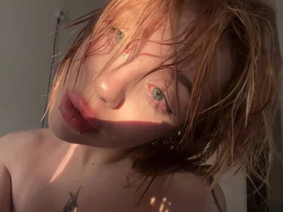 FlexiCassie Public Εικόνα 2