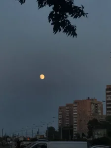 foxy_tease_ one day with you, my friends💟 Bilde 3