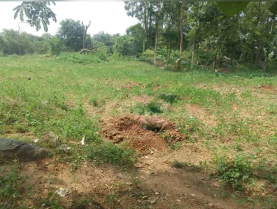 Jyoti_teluguのPublicの 2枚の写真