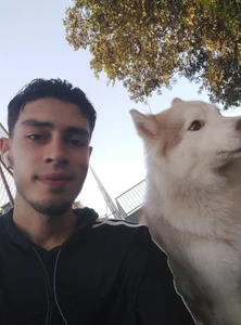 🦁🐶 od Joshua51  snímek