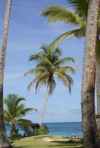 AshtonnSummer My Vacation 🏝️🥥 Kuva 5