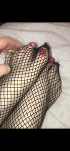 Kittykateie Bod Bilde