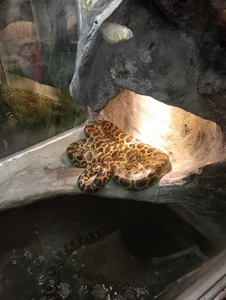 🤗☀️ de Anita-Smith  7 Imagens